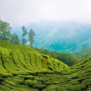 06 Days Kerala Tour Package